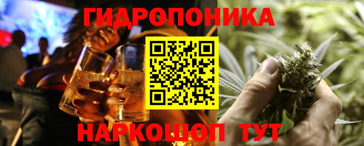 Шишки марихуана план  Марихуана семена  Вход с VPN  Новоуральск  Канабис гибрид 